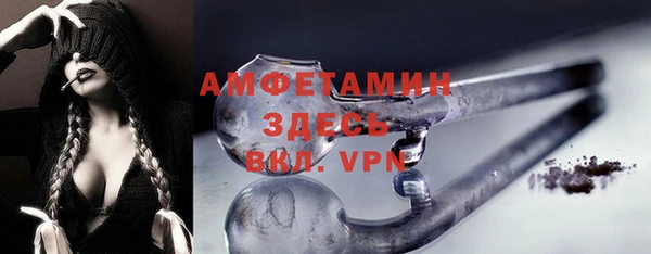 сатива Баксан