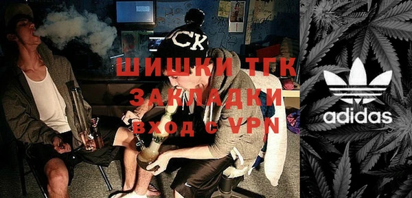сатива Баксан
