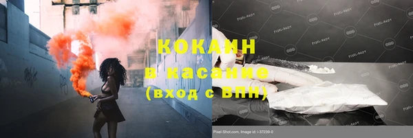 сатива Баксан