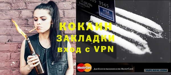 стаф Тайга