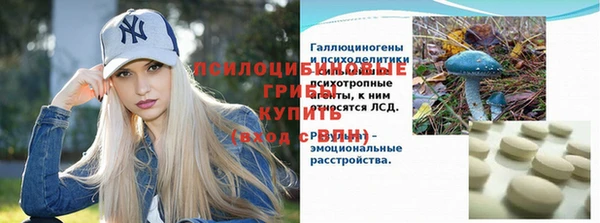 ПСИЛОЦИБИНОВЫЕ ГРИБЫ Тавда